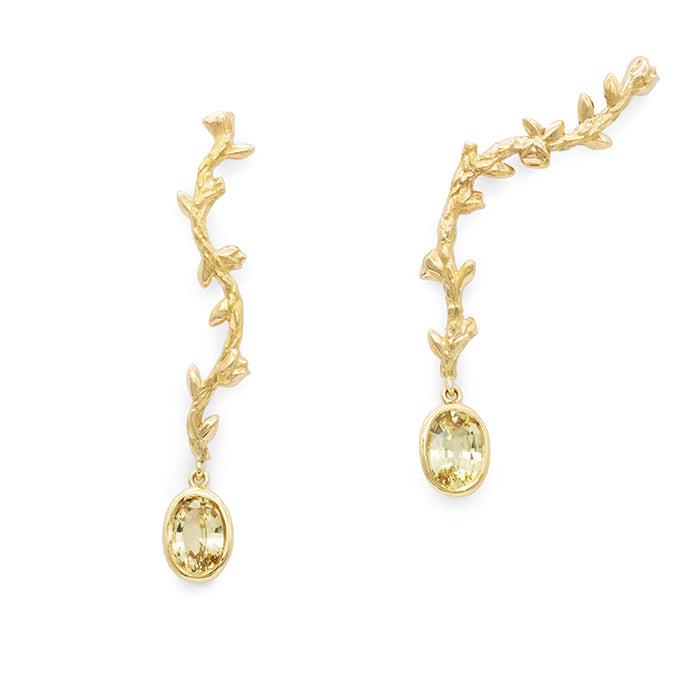 Boucles branches asymétriques