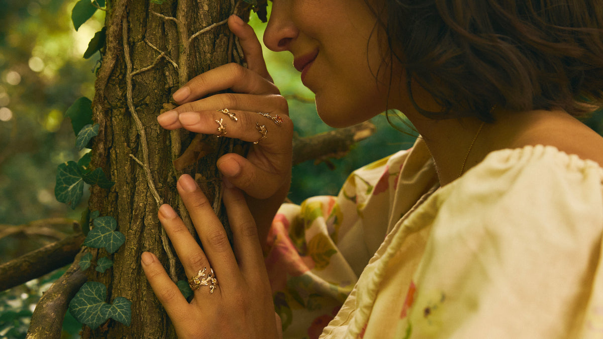 L'oiseau sur sa branche