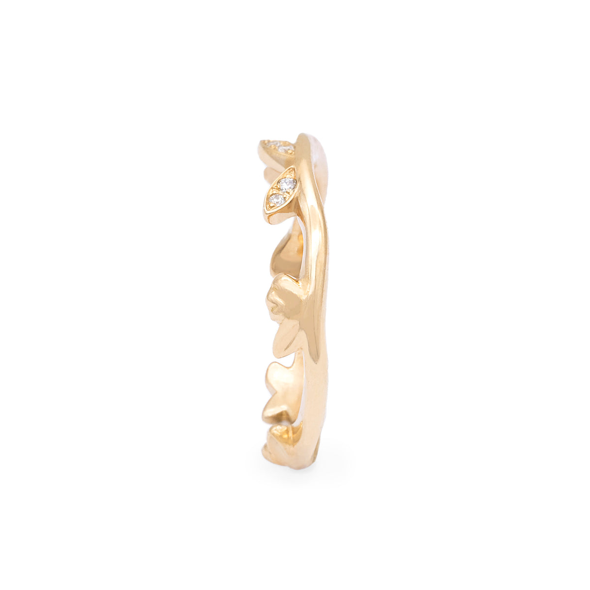 Alliance branche assortie Cerisier
