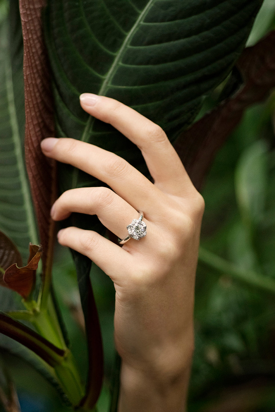 Bague de fiançailles Bourgeon Saphir